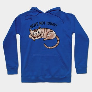 "Sassy Siesta: Children's Cat Doodle" - Funny Nope Not Today Hoodie